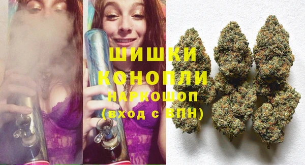 гидра Верхний Тагил