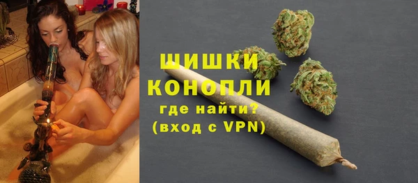 гидра Верхний Тагил