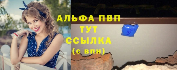 гидра Верхний Тагил