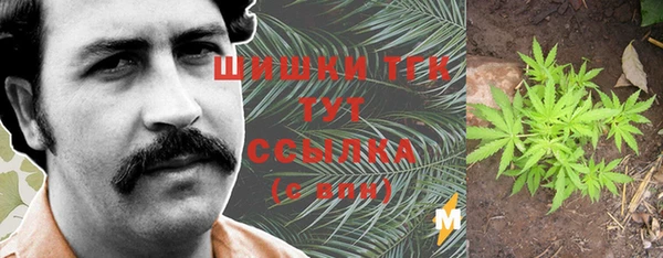 трава Верея