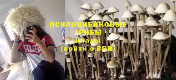 кристаллы Белокуриха