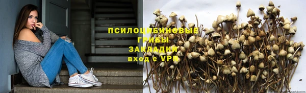 МДПВ Бугульма